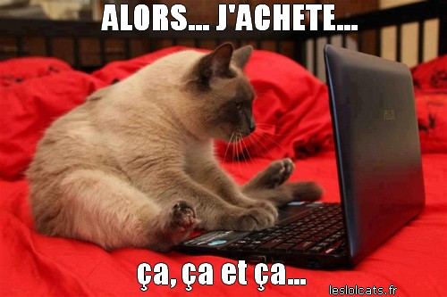 chat-ordinateur